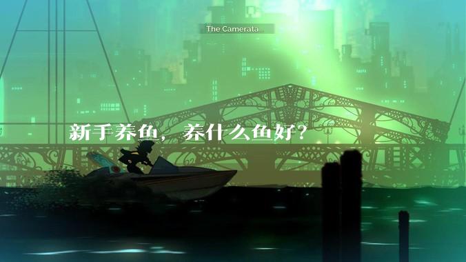 新手养鱼，养什么鱼好？