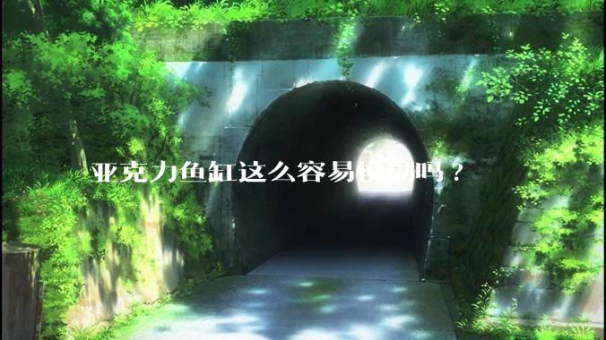 亚克力鱼缸这么容易模糊吗?
